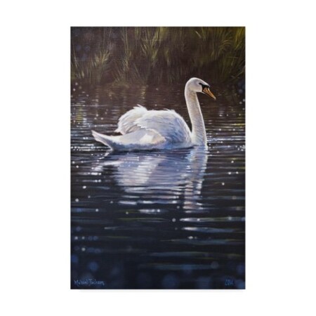Michael Jackson 'White Goose In Water' Canvas Art,22x32
